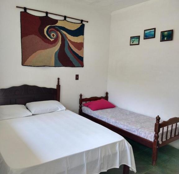 膳宿费 Araribé Pousada