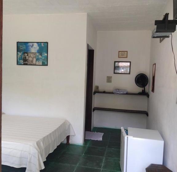 膳宿费 Araribé Pousada