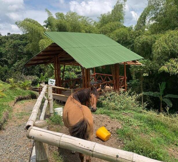 Finca Hotel Mirador Del Bambú