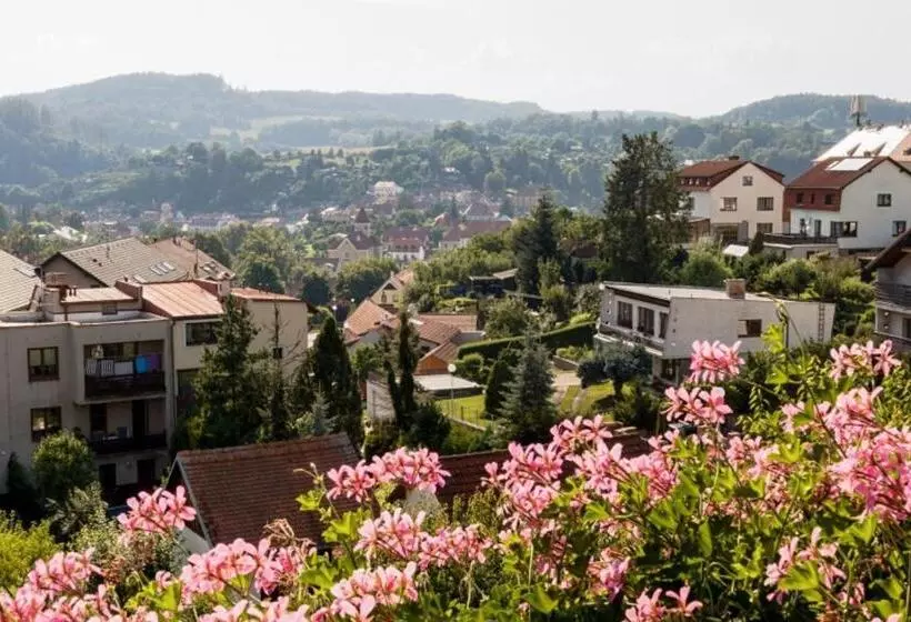 Aamiaismajoitus (B&B) Element