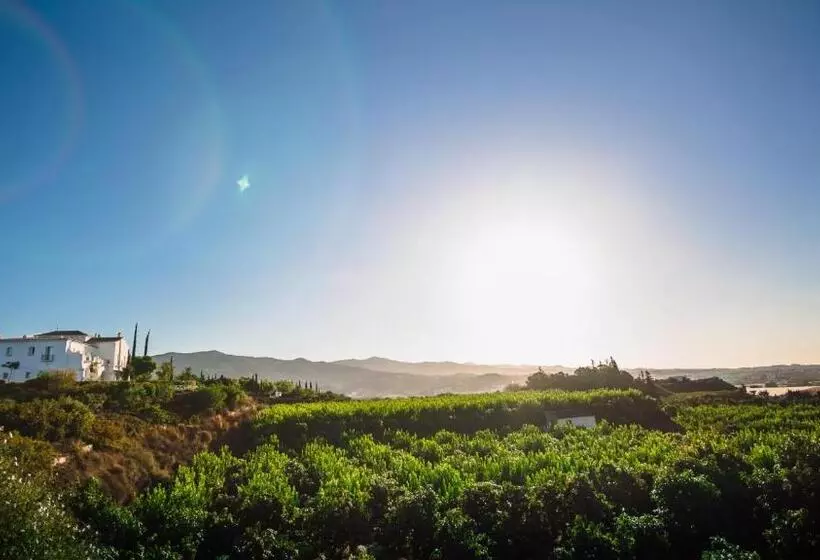 B Bou Hotel Cortijo Bravo