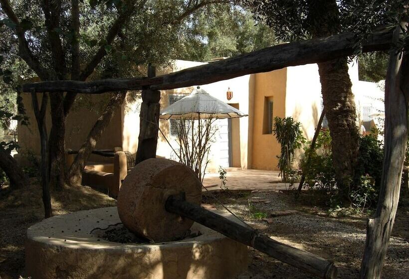 Riad Dar Zitoune Taroudant