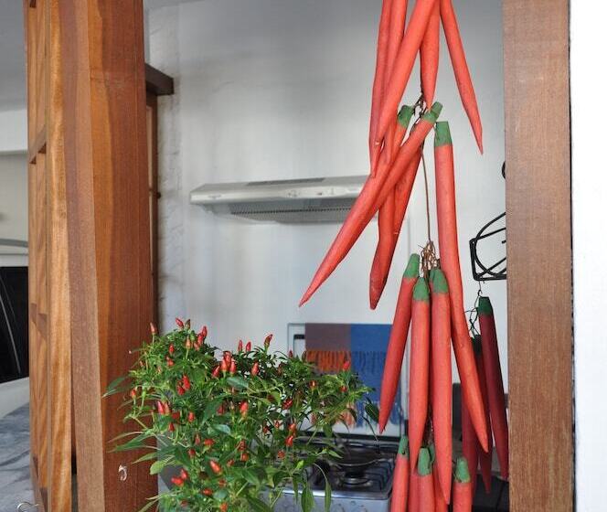 Otel Pousada Casa Das Rosas