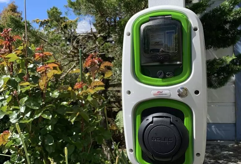 ホテル Tongariro Crossing Lodge