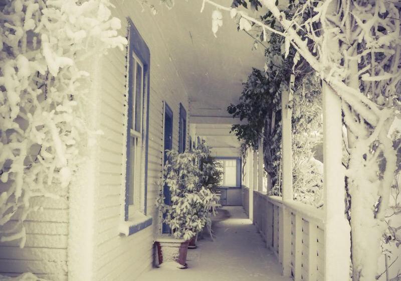 בית מלון כפרי Tongariro Crossing Lodge