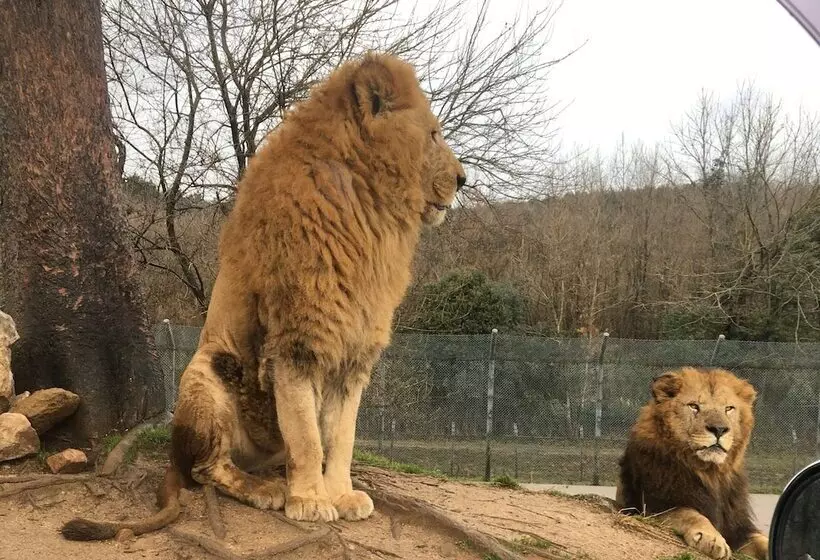 Hotelli Yadomaru Mine Non Smoking