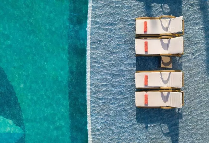 ホテル JOIA Paraíso by Iberostar - Adults Only