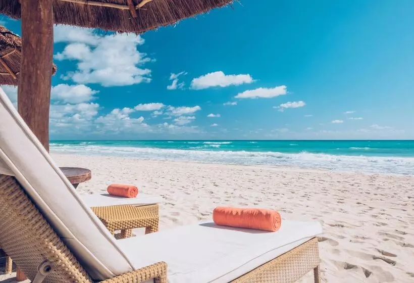 ホテル JOIA Paraíso by Iberostar - Adults Only