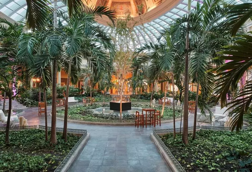 ホテル JOIA Paraíso by Iberostar - Adults Only