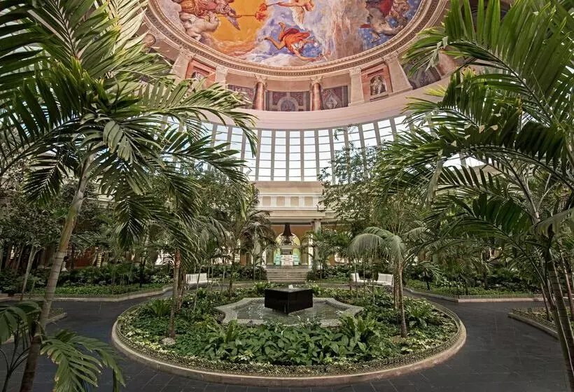 ホテル JOIA Paraíso by Iberostar - Adults Only