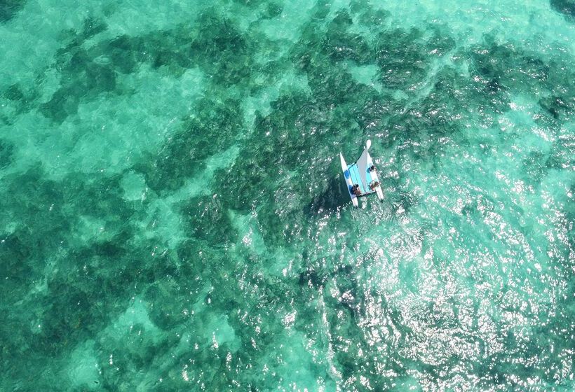 בית מלון כפרי JOIA Paraíso by Iberostar - Adults Only