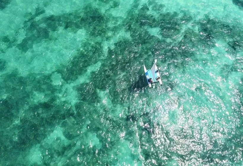 ホテル JOIA Paraíso by Iberostar - Adults Only