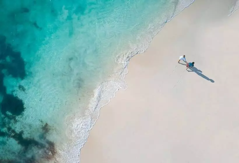 ホテル JOIA Paraíso by Iberostar - Adults Only