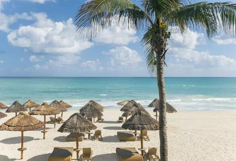 ホテル JOIA Paraíso by Iberostar - Adults Only