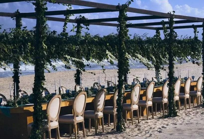 ホテル JOIA Paraíso by Iberostar - Adults Only