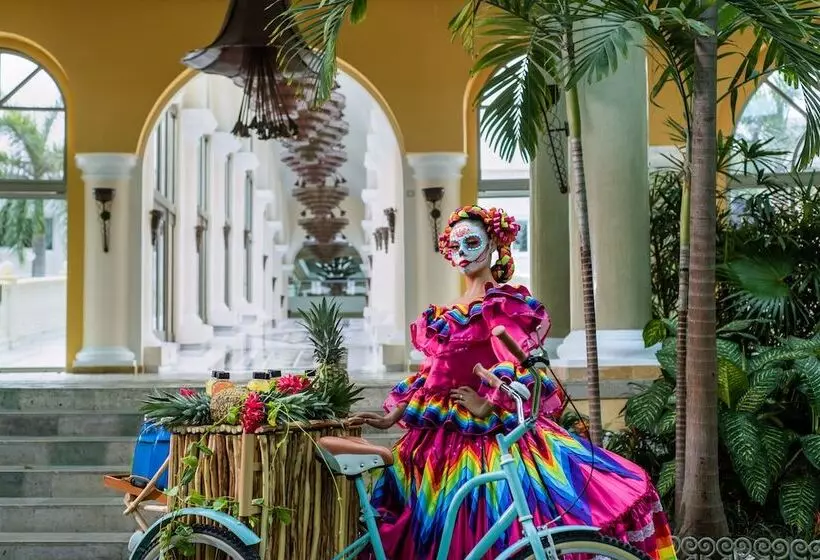 ホテル JOIA Paraíso by Iberostar - Adults Only