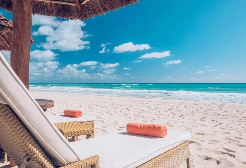 ホテル JOIA Paraíso by Iberostar - Adults Only