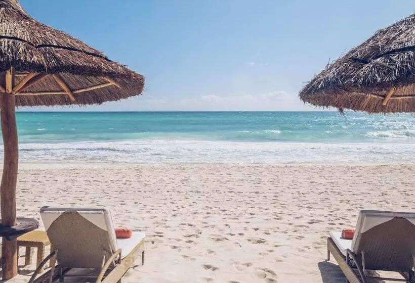 ホテル JOIA Paraíso by Iberostar - Adults Only