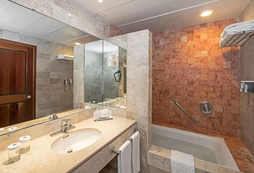 호텔 Iberostar Waves Paraíso Beach