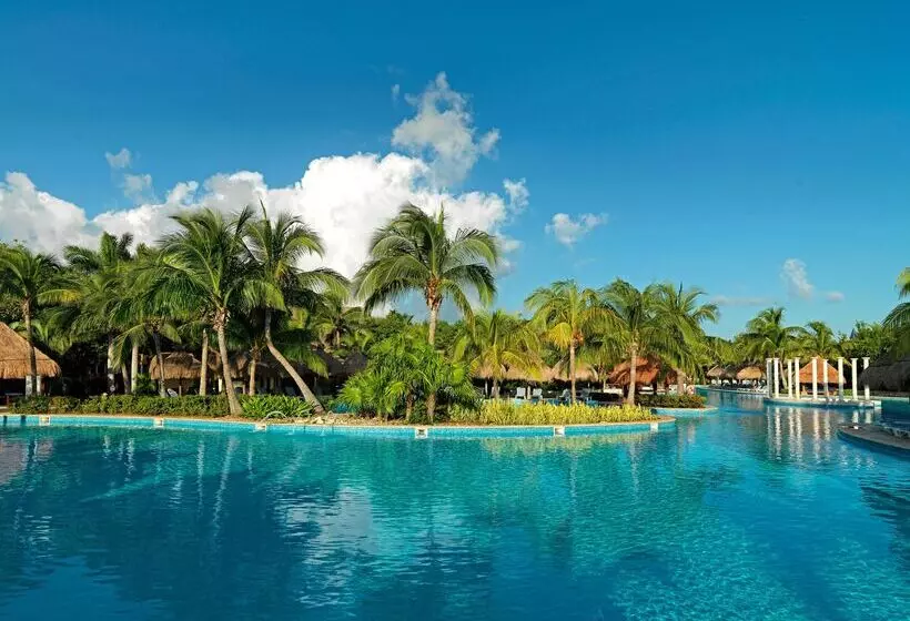 호텔 Iberostar Waves Paraíso Beach