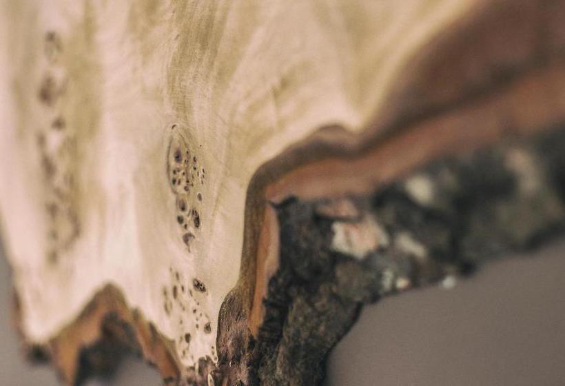 酒店 La Casona De Amandi