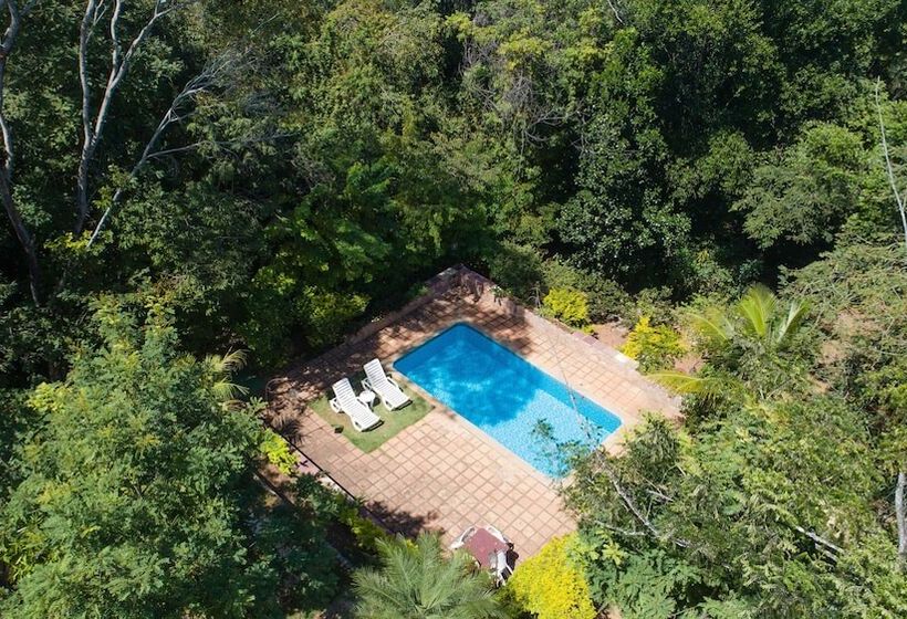 호텔 Pousada Canto No Bosque