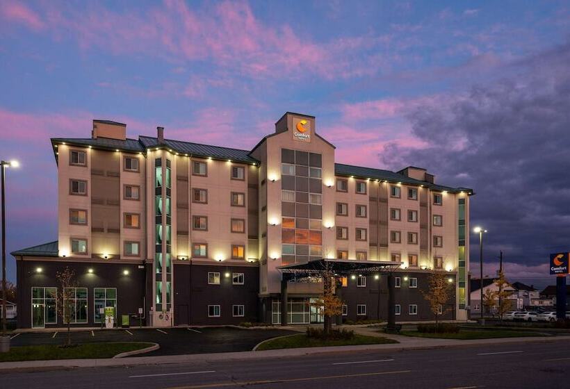 فندق على الطريق Comfort