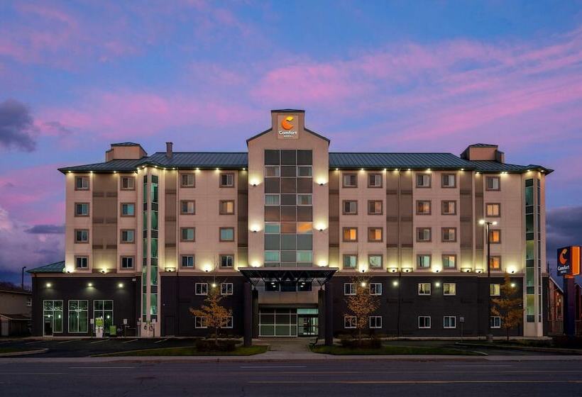 فندق على الطريق Comfort