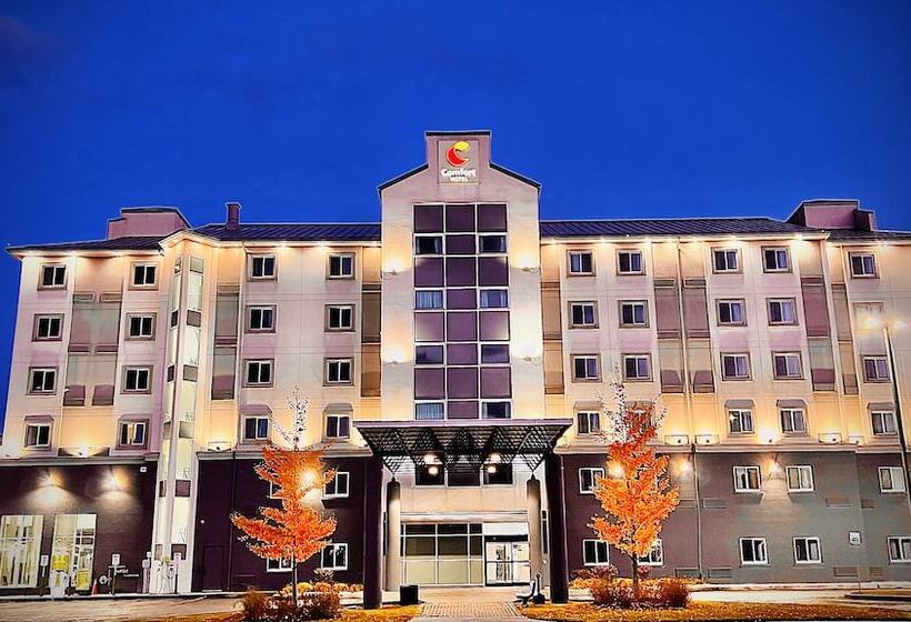 فندق على الطريق Comfort