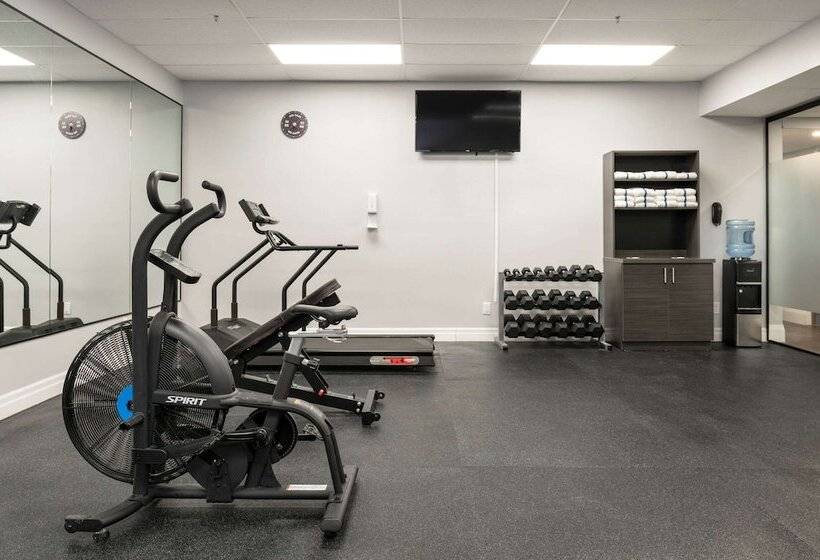 فندق على الطريق Comfort