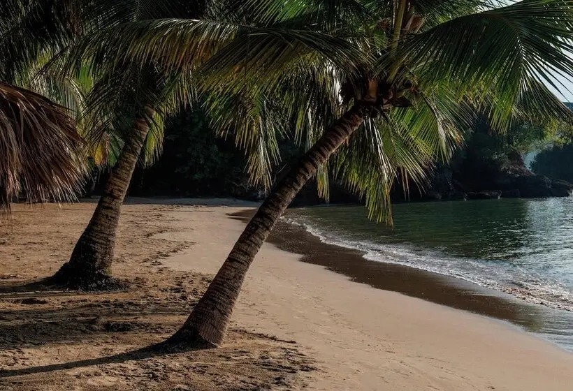 استراحتگاه Eurostars Grand Cayacoa