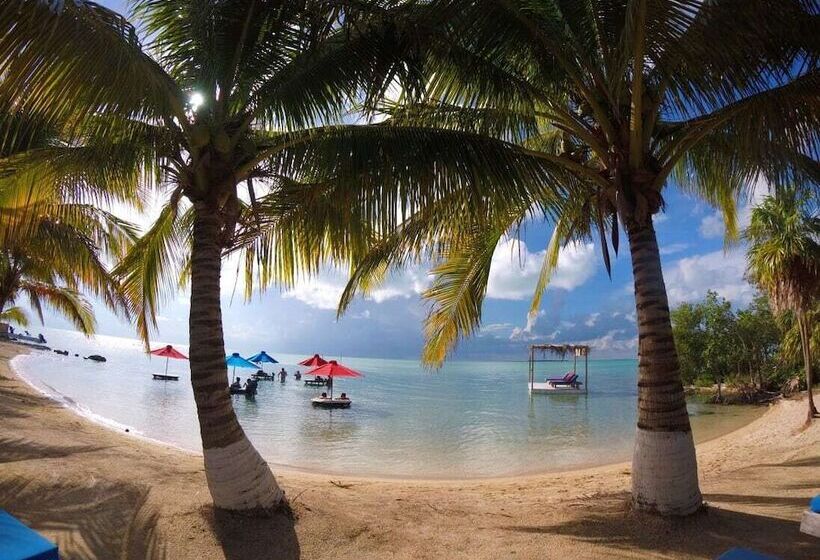 בית מלון כפרי Coastalbay 2 & Golf Cart Rental