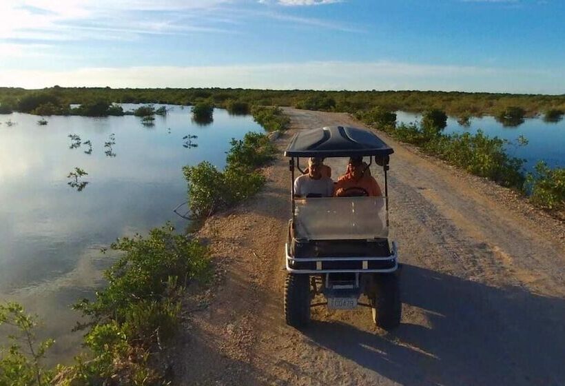 בית מלון כפרי Coastalbay 2 & Golf Cart Rental
