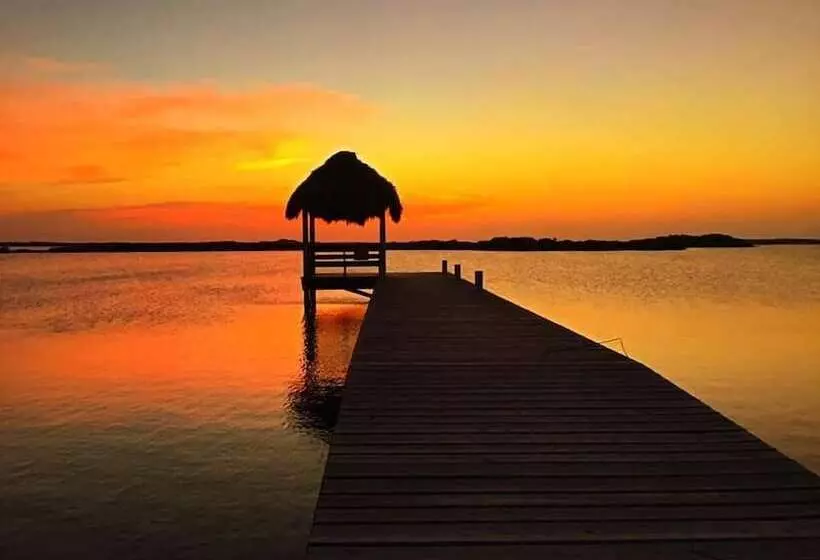 ホテル Coastalbay 2 & Golf Cart Rental