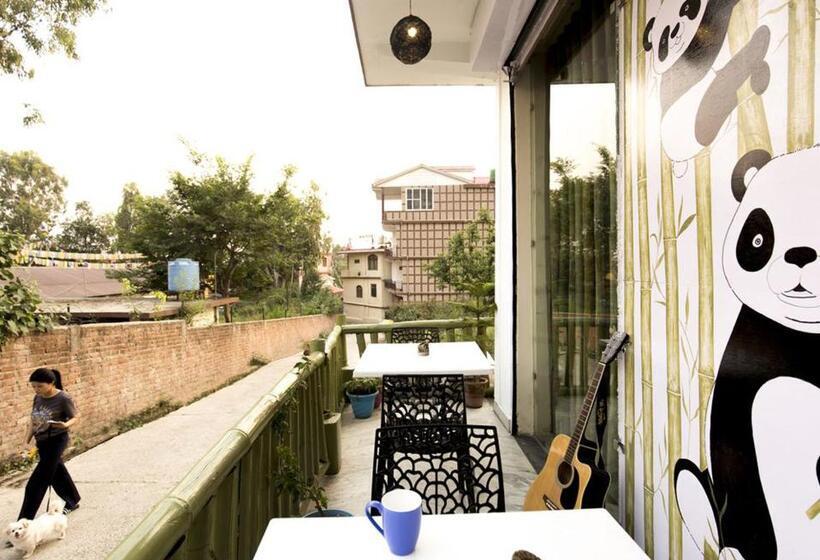 ユースホステル The Trippy Tribe