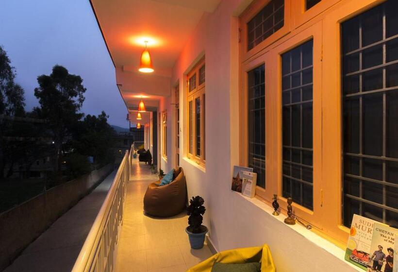 ユースホステル The Trippy Tribe