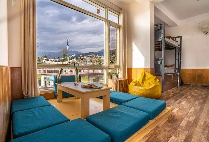 Retkeilymaja The Trippy Tribe