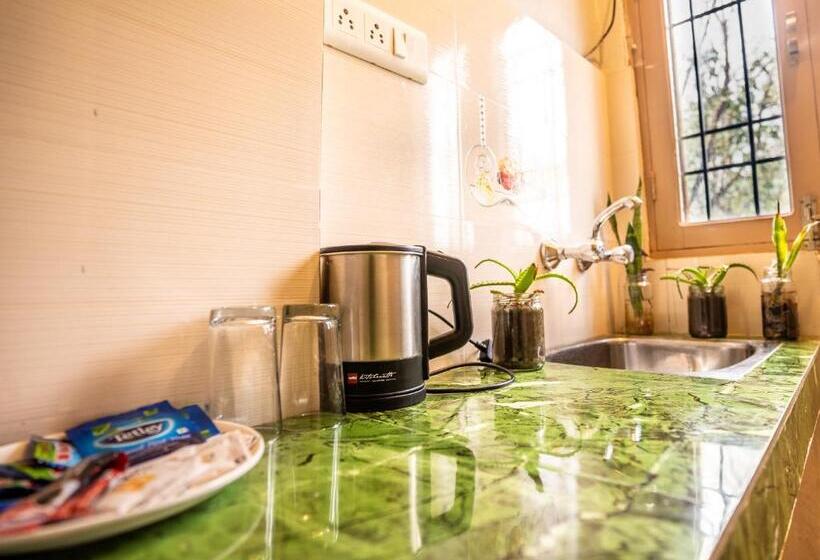 ユースホステル The Trippy Tribe