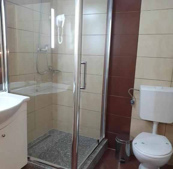 Hotel Pensiunea Floarea Soarelui Brasov