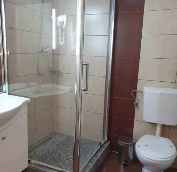 Hotel Pensiunea Floarea Soarelui Brasov