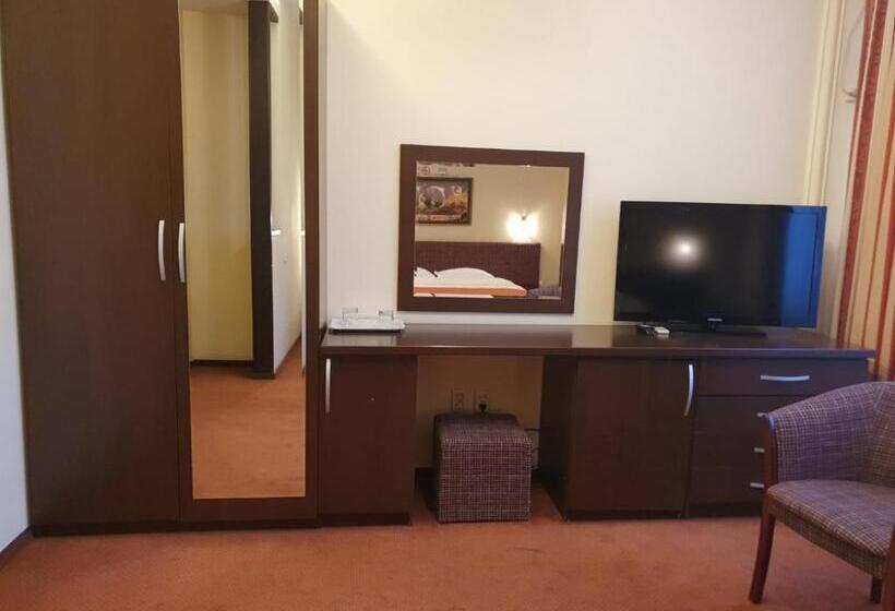 Hotel Pensiunea Floarea Soarelui Brasov