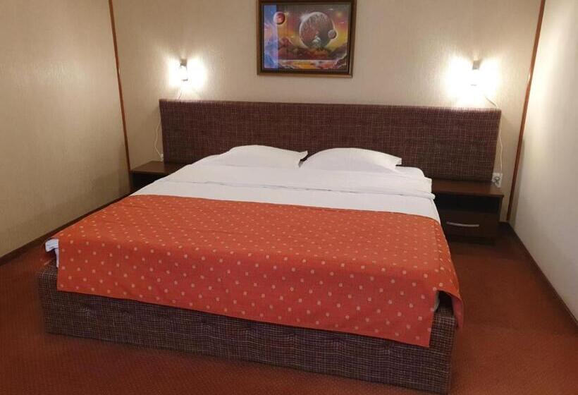 Hotel Pensiunea Floarea Soarelui Brasov