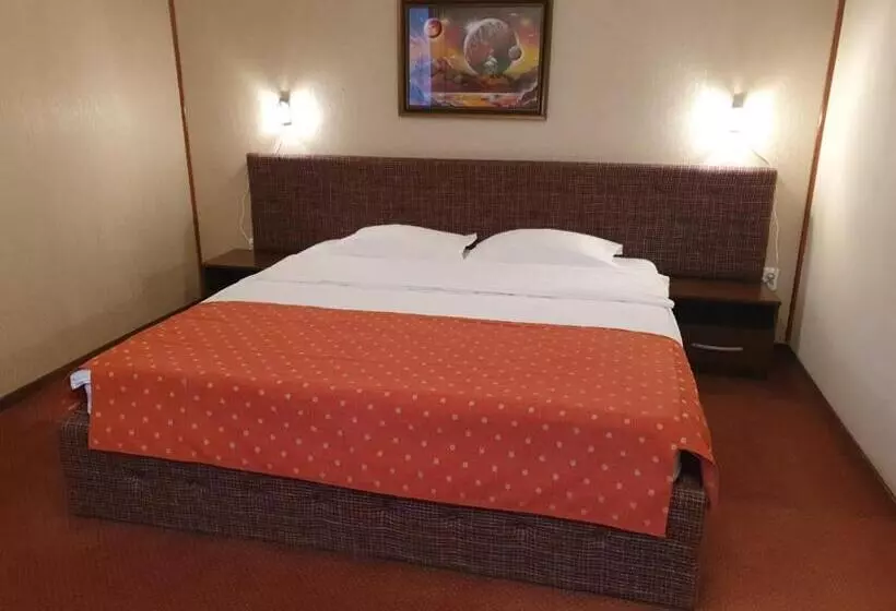 Hotel Pensiunea Floarea Soarelui Brasov