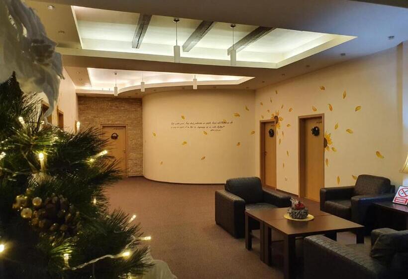 Hotel Pensiunea Floarea Soarelui Brasov