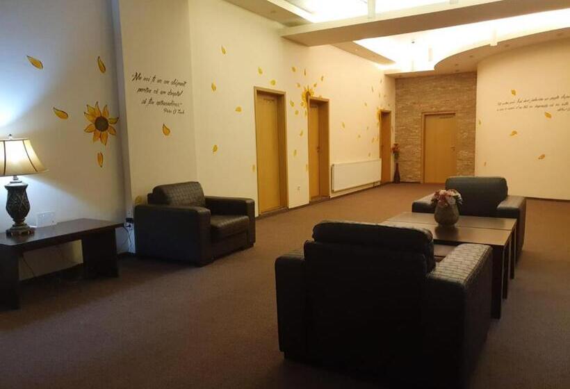 Hotel Pensiunea Floarea Soarelui Brasov