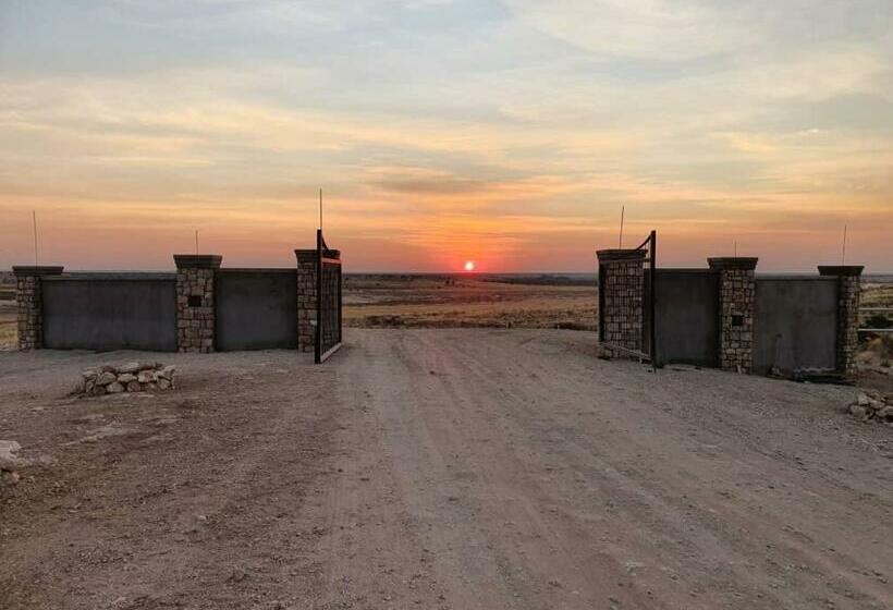 ペンション !kharuhase, Roots 817