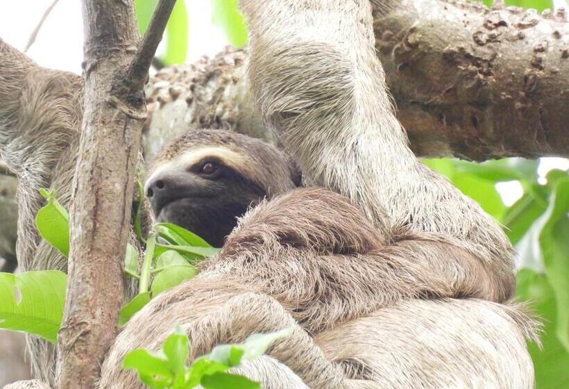تختخواب و صبحانه Ecohabs Bamboo Parque Tayrona   Dentro Del Pnn Tayrona