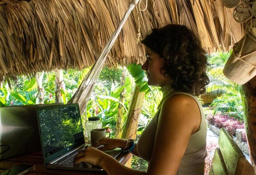 تختخواب و صبحانه Ecohabs Bamboo Parque Tayrona   Dentro Del Pnn Tayrona