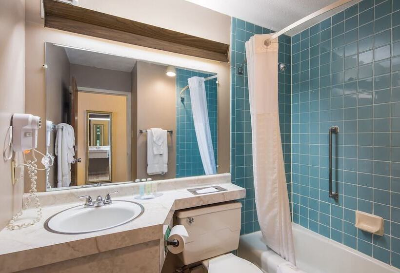 Szálloda Cayuga Blu