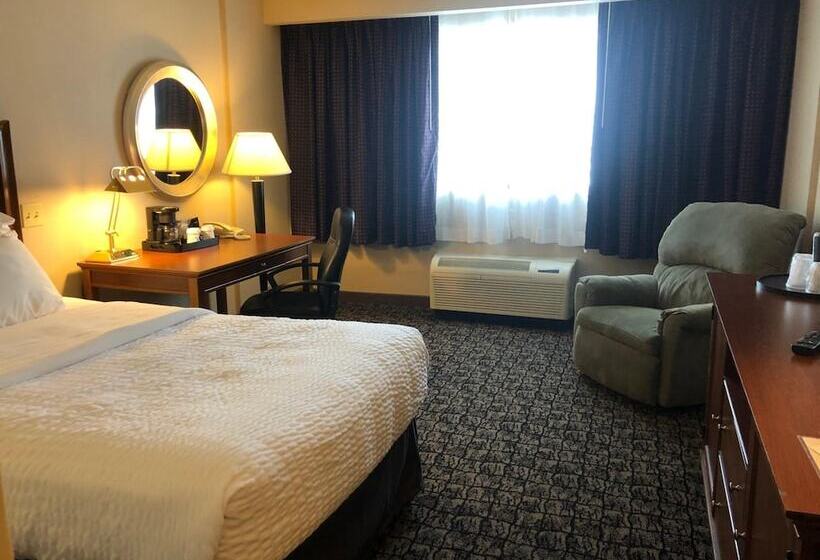 Szálloda Cayuga Blu